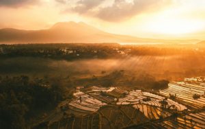 Read more about the article The Case for Cityhood